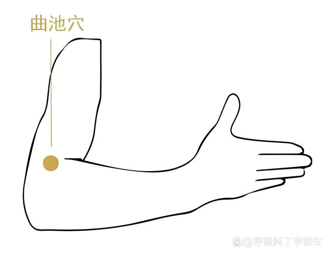 胳膊肘外侧是什么穴位