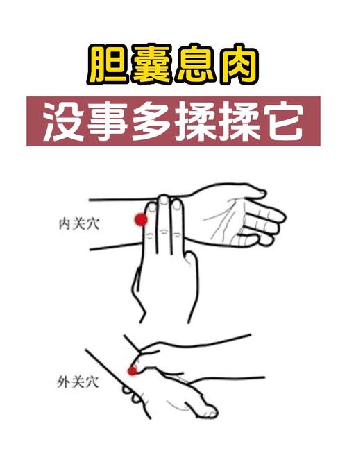 胆囊息肉艾灸什么穴位