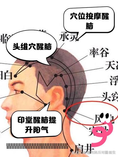 头晕头疼按摩什么穴位