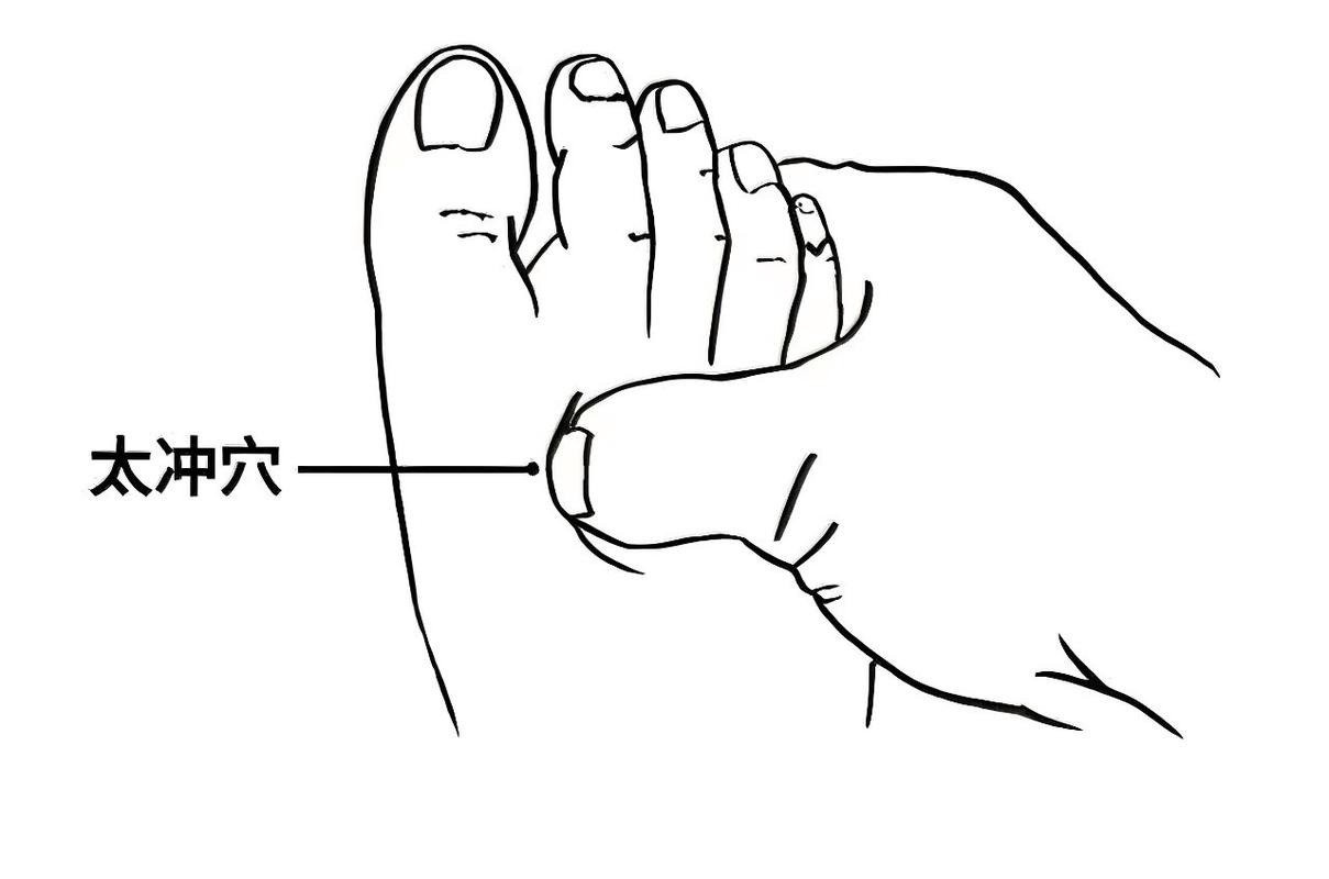 太冲穴位的准确位置图