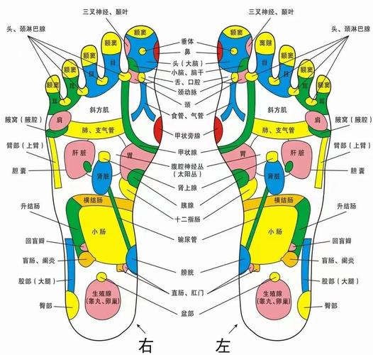 大脚趾内侧是什么穴位