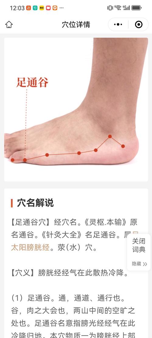 小儿脚上治腹泻的穴位