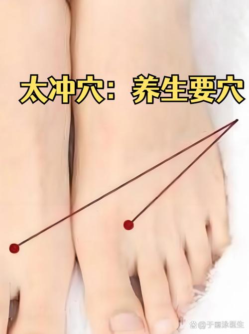 太冲穴位位置图怎么找