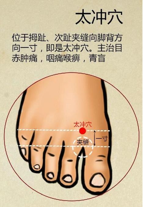 太冲穴位位置图怎么找