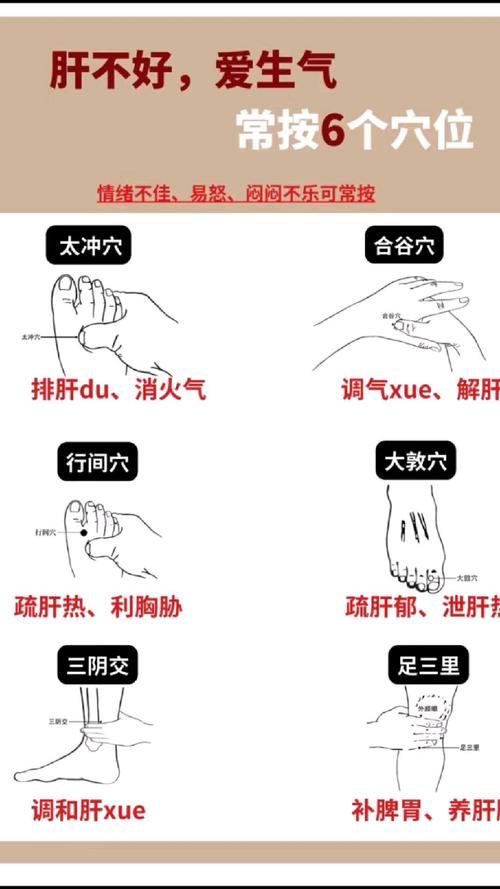 疏肝理气艾灸哪个穴位