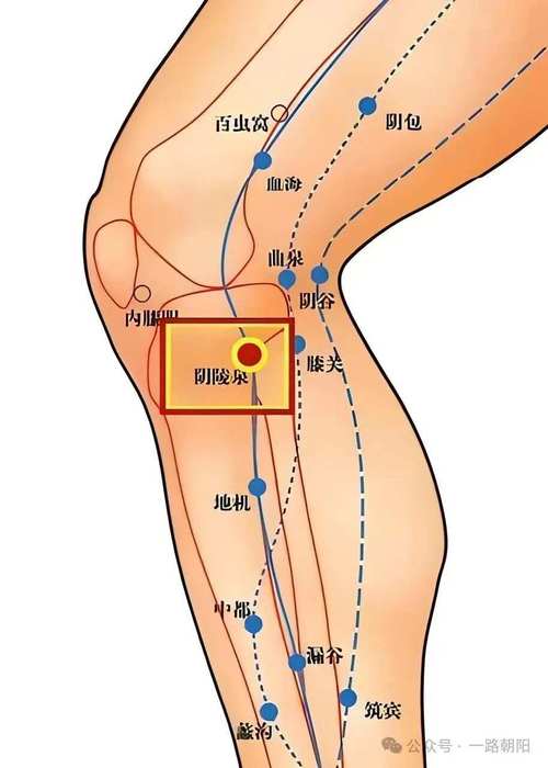 膝盖疼用艾灸什么穴位