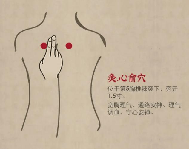 房颤发作时按哪个穴位