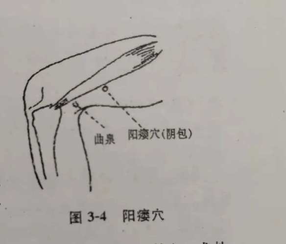 阳痿早泄艾灸哪个穴位