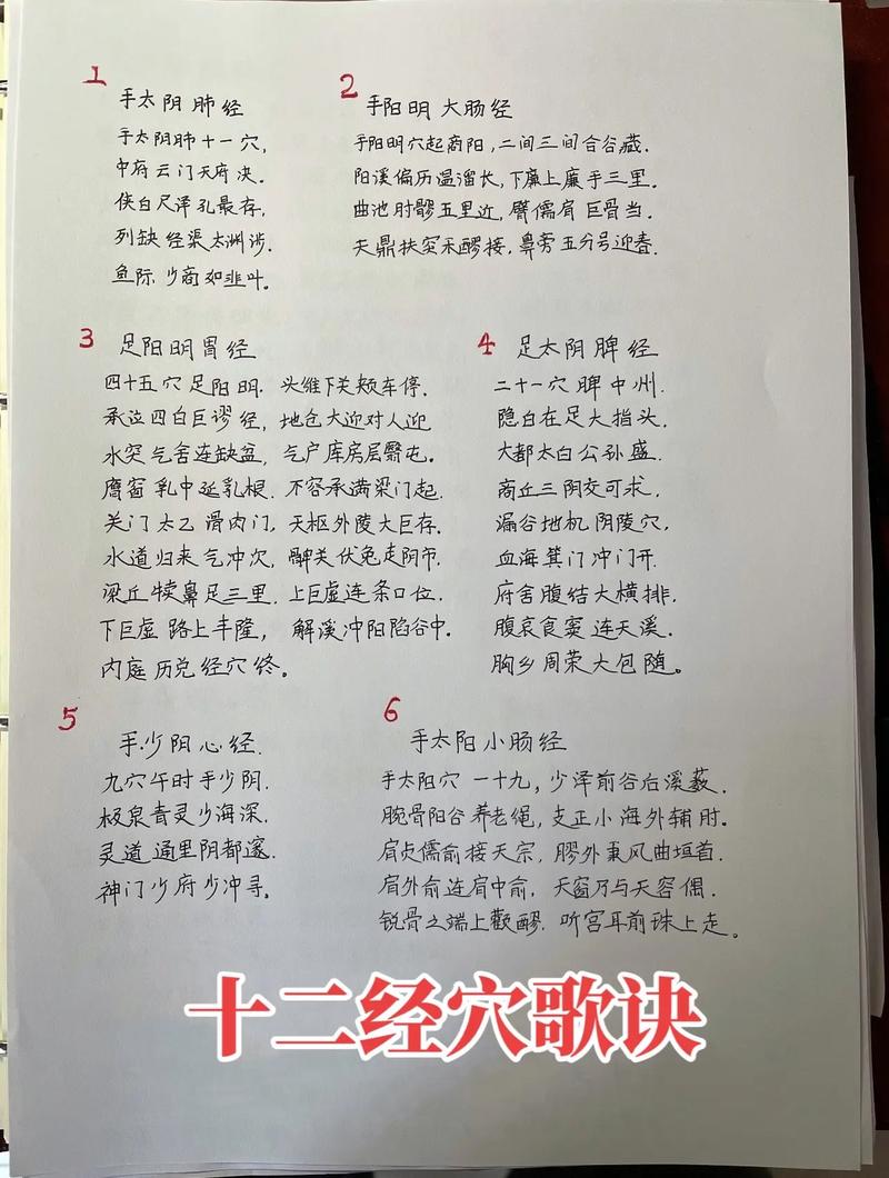 人体十二经络穴位口诀