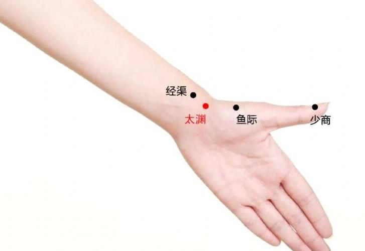 动脉硬化按摩什么穴位