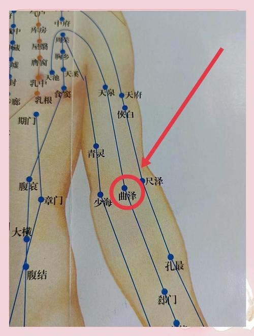 动脉硬化按摩什么穴位