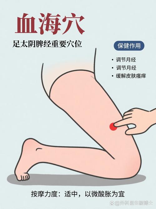血海穴位的准确位置图