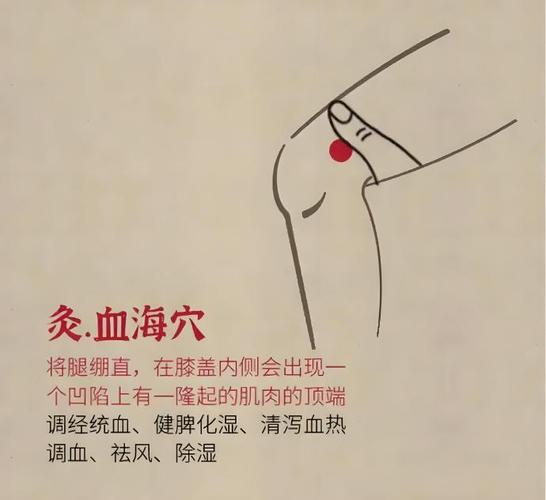 血海穴位的准确位置图