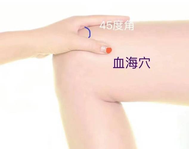 血海穴位的准确位置图