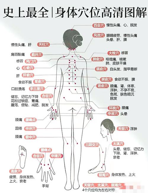 女性经络穴位使用图册