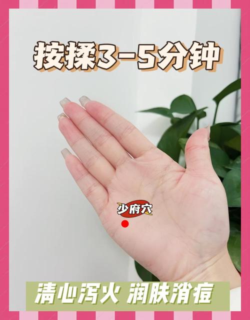 长痘痘应该按哪些穴位