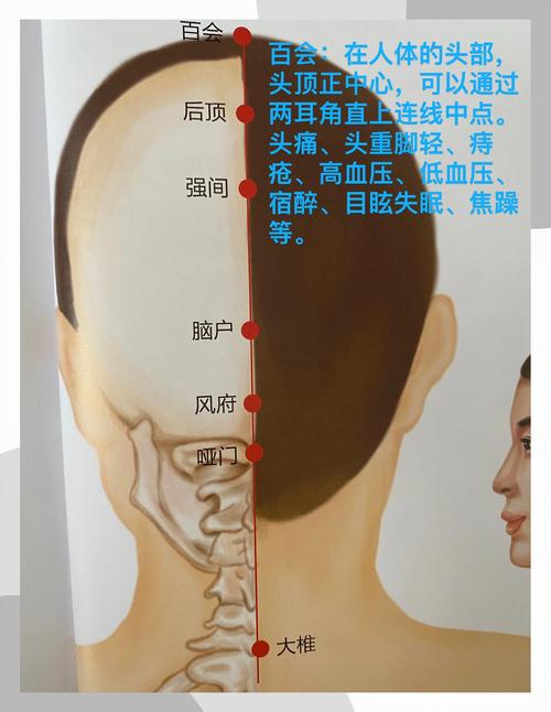 头疼的厉害按哪个穴位