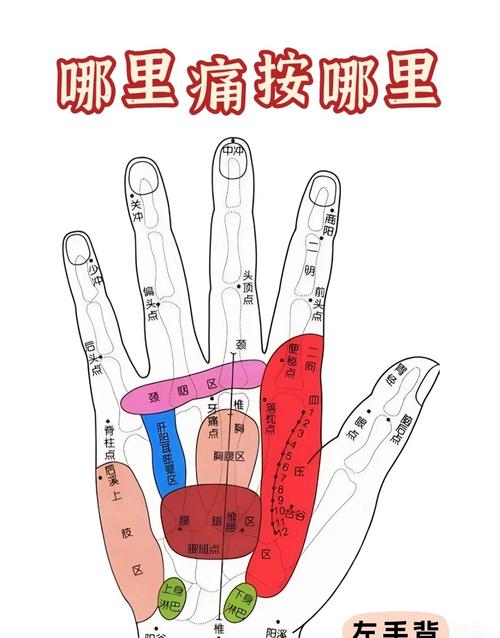 颈椎疼按手上哪个穴位