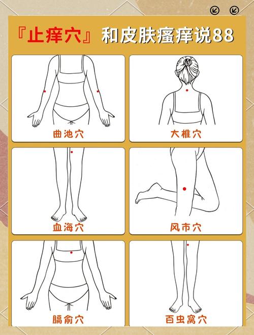 治疗过敏的穴位有哪些