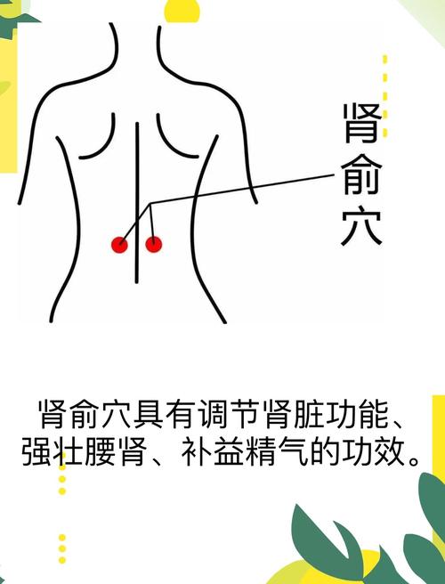 按摩什么穴位对膀胱好