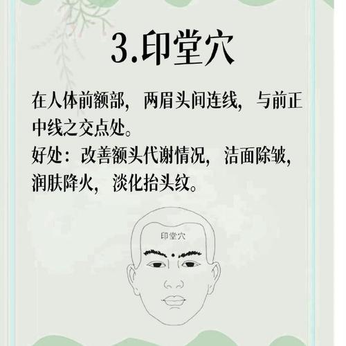 额头长痘按摩什么穴位