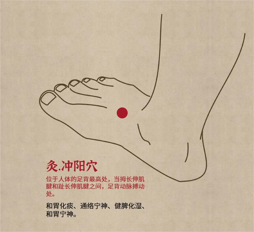 冲阳穴位位置图及功效