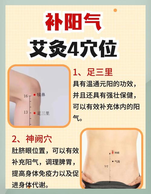 中气不足艾灸哪个穴位