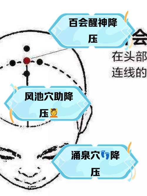 人体哪个穴位是升压点