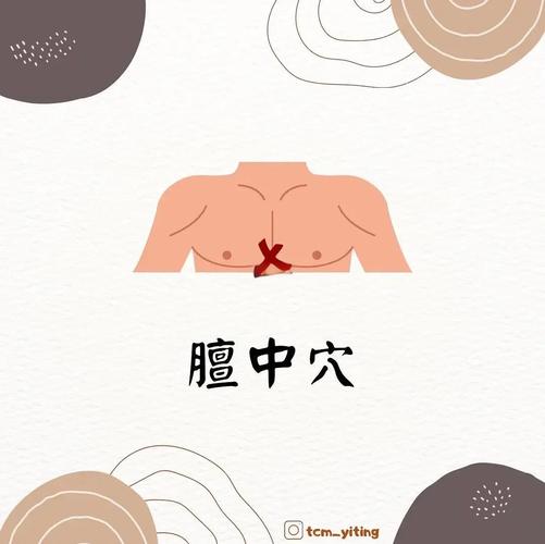 膻中穴位位置图及作用