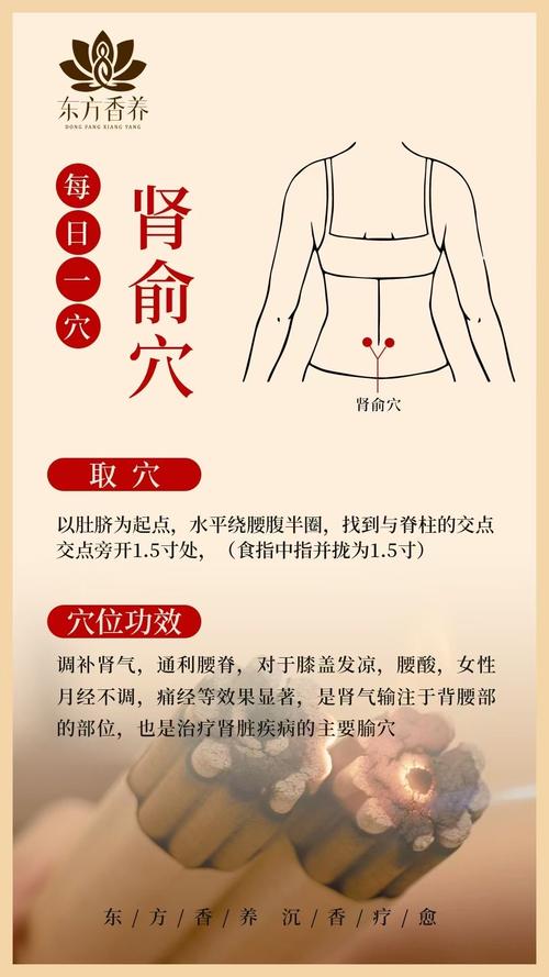 脾肾阳虚艾灸什么穴位