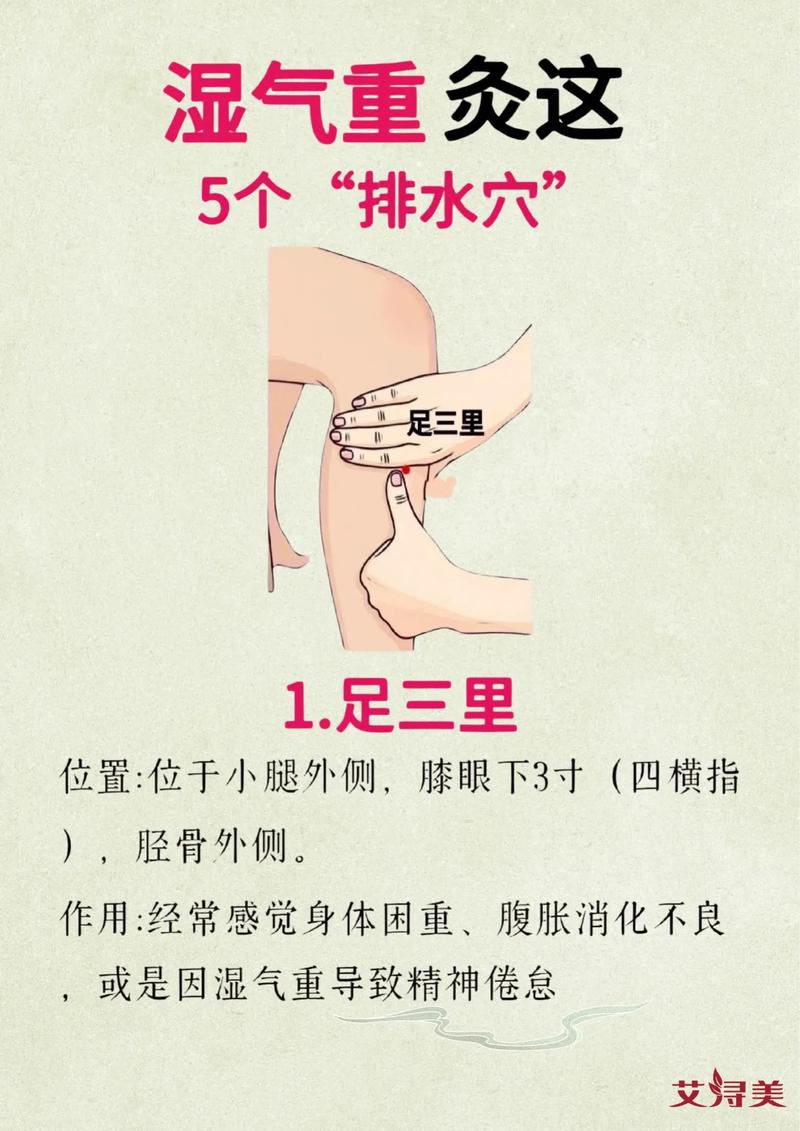 身体湿气重按什么穴位
