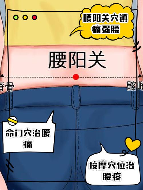 穴位补肾 腰眼资讯通