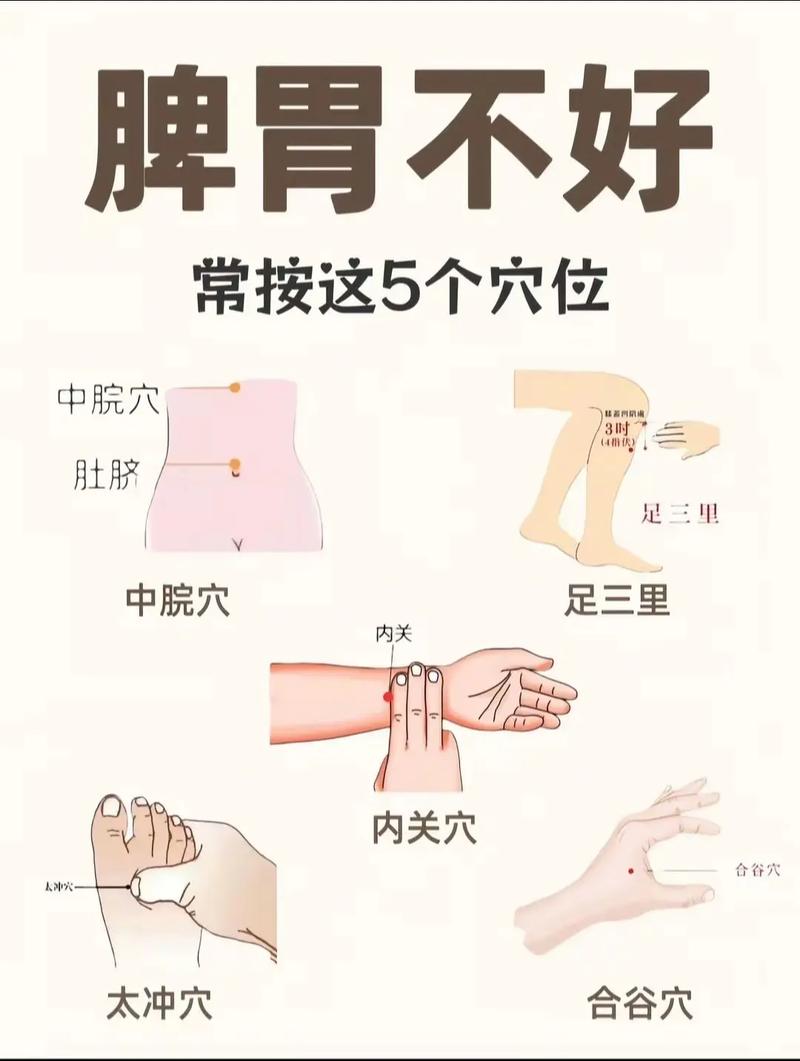 治疗胃炎胃下垂的穴位