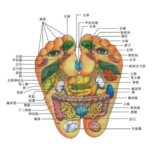 脚面穴位图及按摩方法