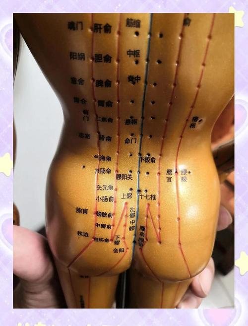 下焦湿热艾灸什么穴位