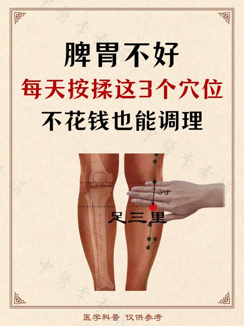 脾肾阳虚按摩哪些穴位