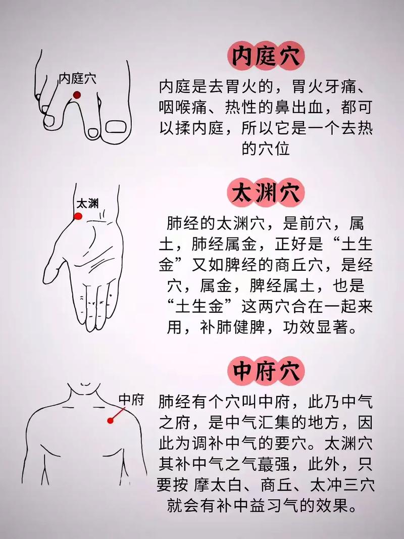 中医经络穴位讲解视频