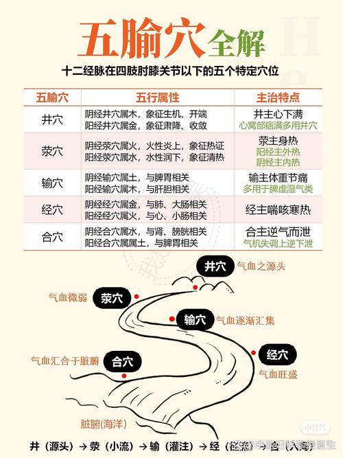 中医经络穴位讲解视频