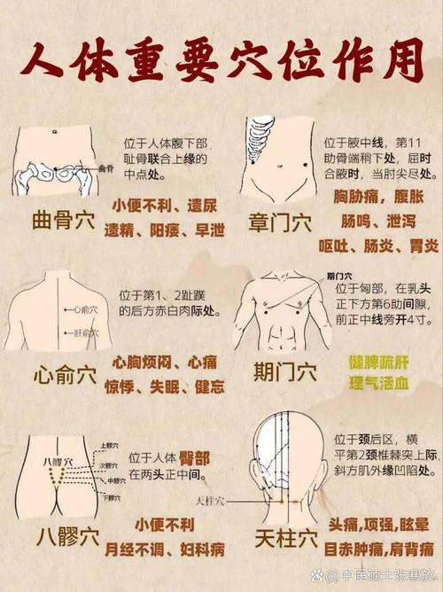 中医经络穴位讲解视频