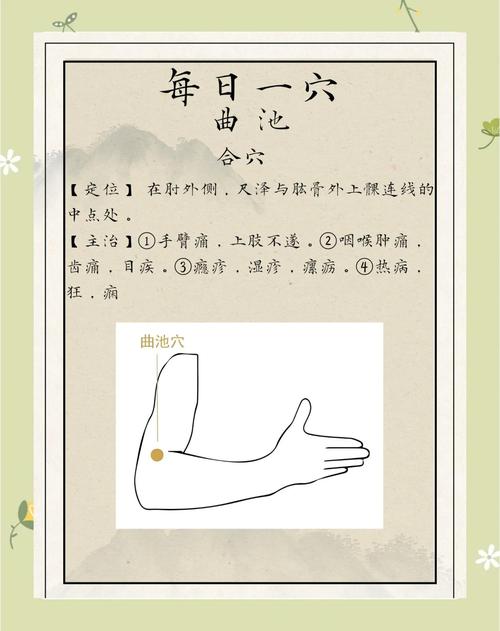 大胳膊外侧是什么穴位