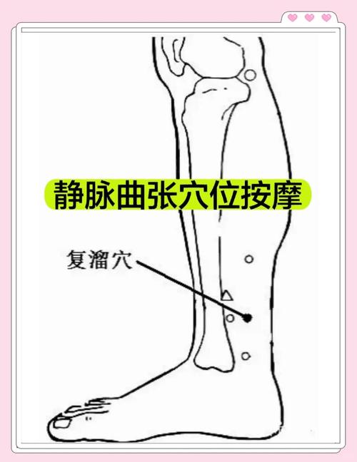 精索静脉曲张按摩穴位