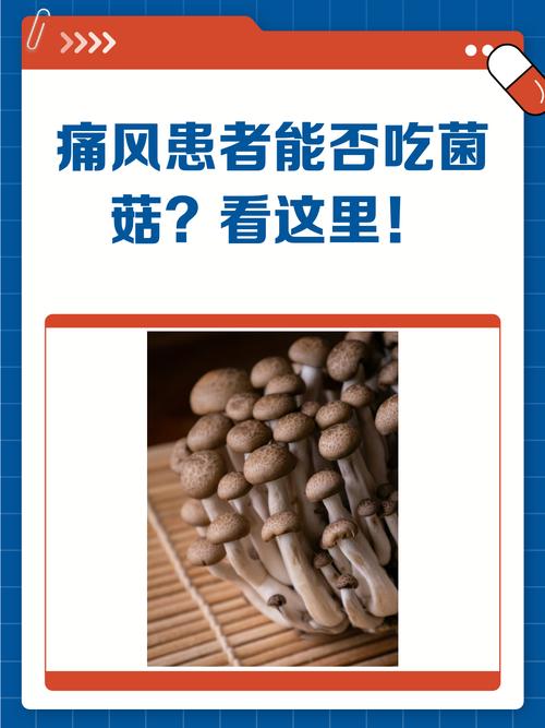 风湿类风湿能吃磨菇吗