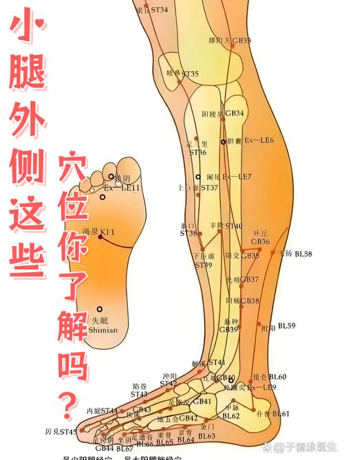 小腿酸痛针灸什么穴位