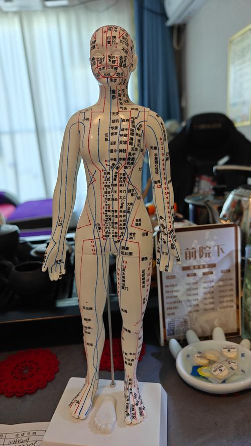 男性人体穴位高清大图