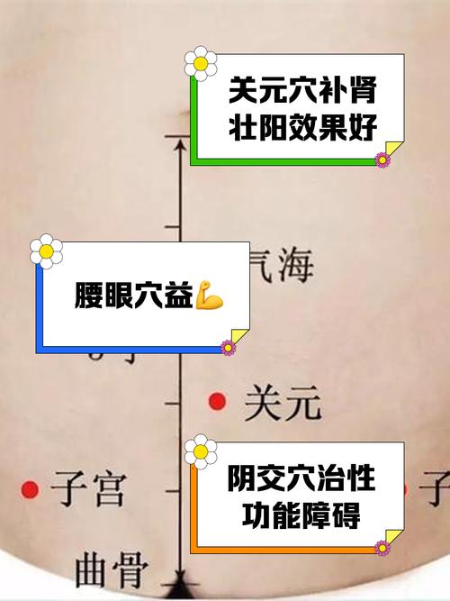 按摩那个穴位治疗早泄