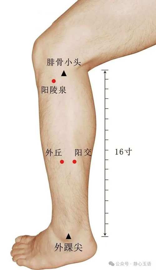 尿酸偏高按摩什么穴位