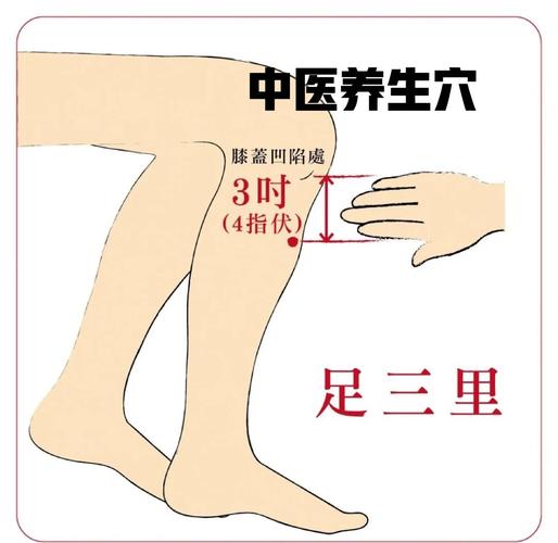 按摩哪些穴位可以壮阳