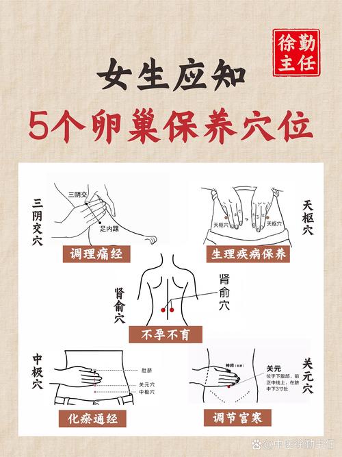 哪个穴位可以保养卵巢
