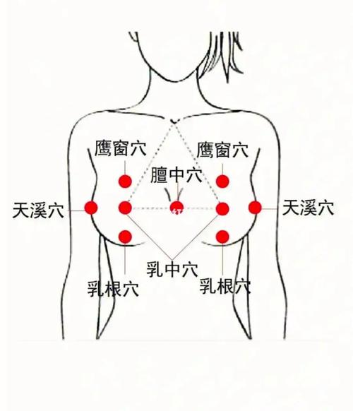 女人乳房艾灸养生穴位