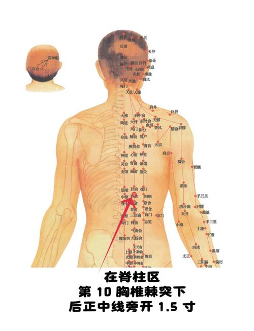 胆囊疼痛按摩哪个穴位